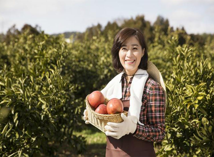 【潤康】磨煤機(jī)磨輥與您分享：互聯(lián)網(wǎng)巨頭紛紛賣菜，農(nóng)民會(huì)不會(huì)被“割韭菜”？