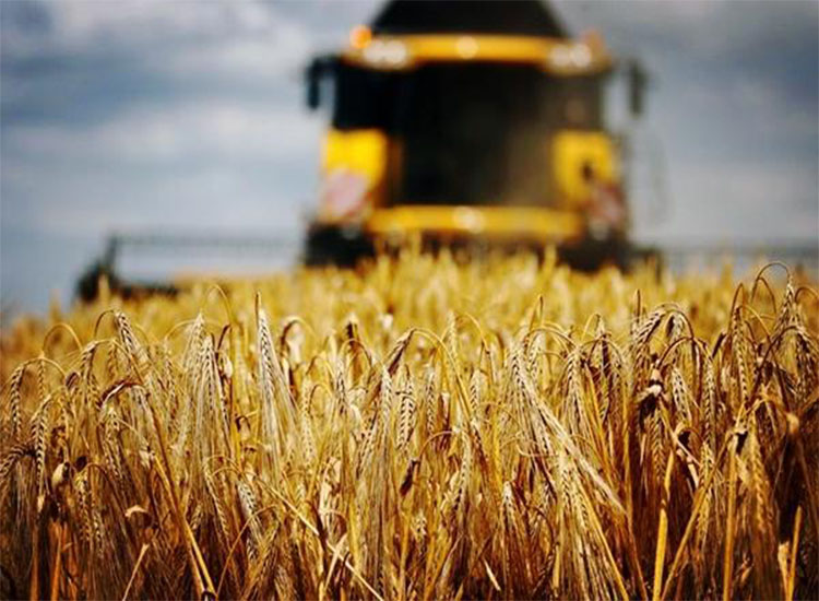 磨煤機磨輥 磨煤機磨輥